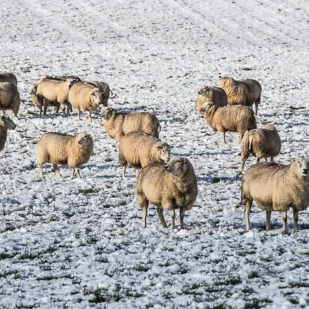 Valkenburg By Mercure - Next To Shimano Experience Center Valkenburg aan de Geul