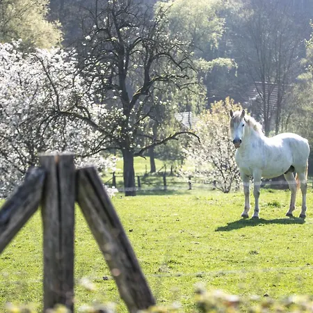 Valkenburg By Mercure - Next To Shimano Experience Center 4*