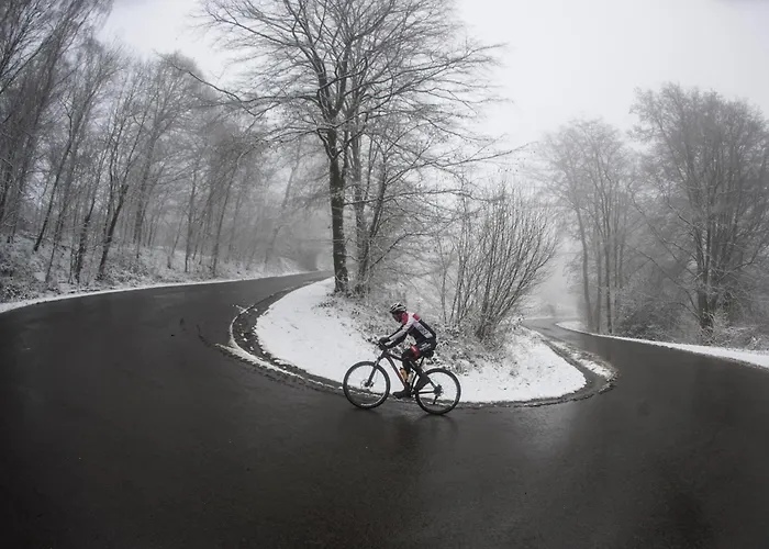 Valkenburg By Mercure - Next To Shimano Experience Center 4* Валкенбург