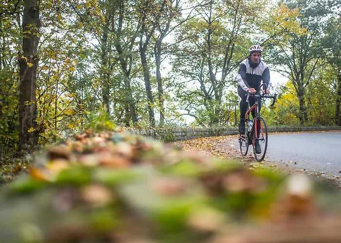 Отель Valkenburg By Mercure - Next To Shimano Experience Center Валкенбург