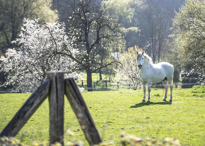Valkenburg By Mercure - Next To Shimano Experience Center 4*