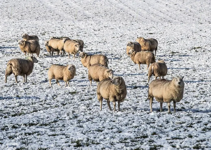Valkenburg By Mercure - Next To Shimano Experience Center Valkenburg aan de Geul